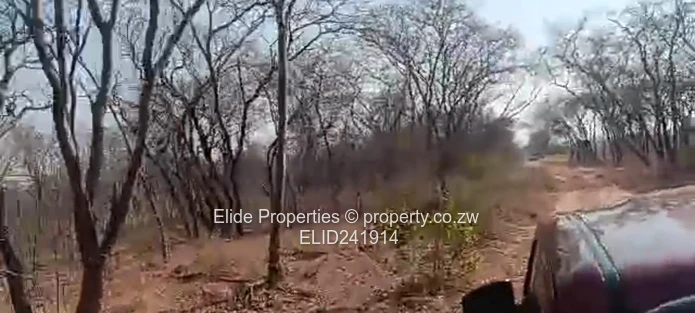 1,130ha Gokwe Farm — Gravel Roads, Grazing & Kraal (Sole Mandate)