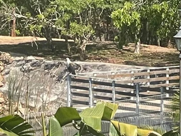 Farm & Agricultural Land