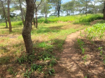 Farm & Agricultural Land