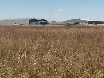 Aspindale Industrial Stands For Sale