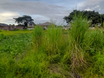 Stands & Residential Land