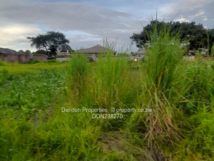 Build your dream home  (Sole Mandate)