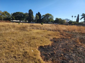 Stands & Residential Land