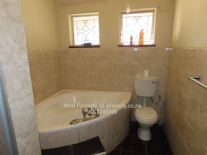 Prime Road Frontage Opportunity in Alexandra Park
