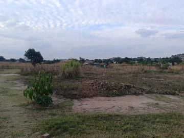 Land
