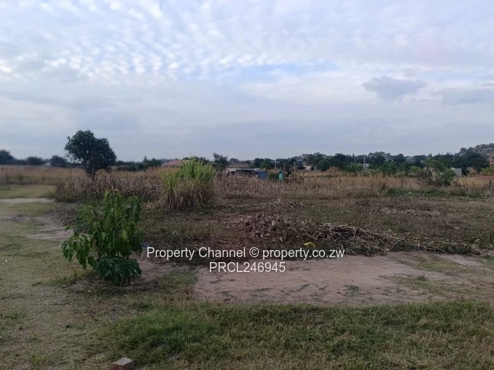 2000 m² Fenced Plot with Road Access in Whitecliff