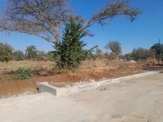 Prime 2000 m² Quinnington Stand — Tarred Roads, Trees