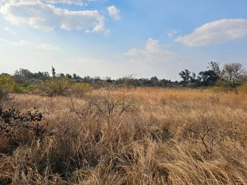 Land