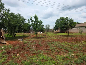 Stands & Residential Land