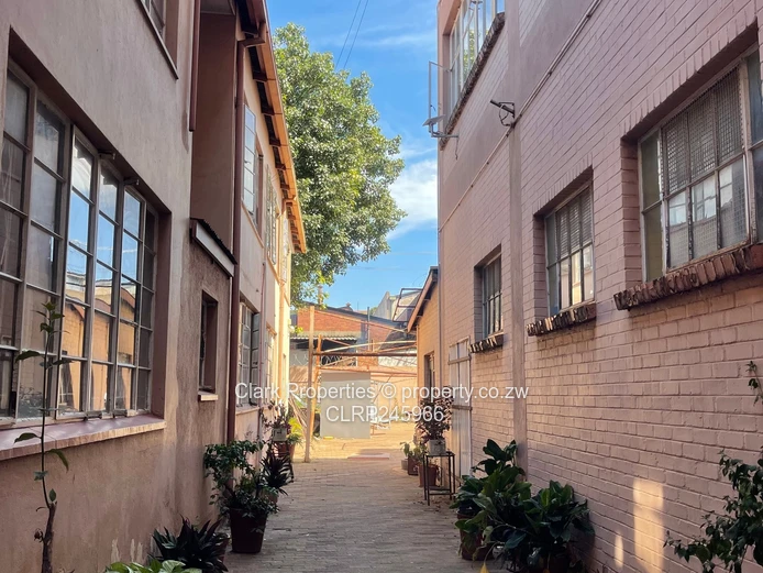 Prime CBD Investment Opportunity 