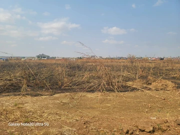 Stands & Residential Land