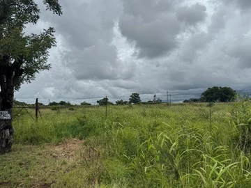 Land
