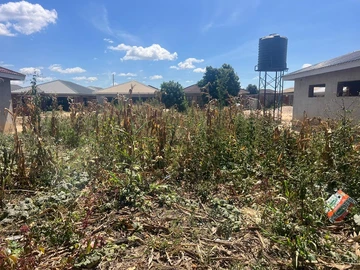 Stands & Residential Land