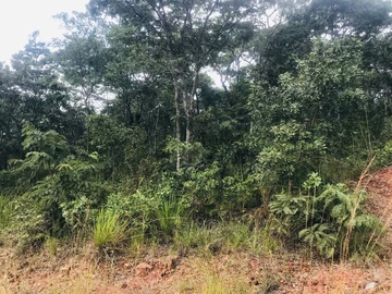 Prime 3600m² Residential Land in Serene Umwinsidale