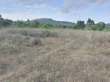 Farm & Agricultural Land