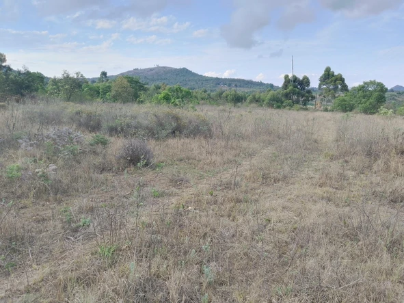 Farm & Agricultural Land