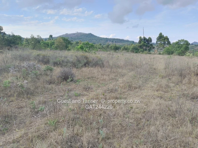 59.3ha Agricultural Farm For Sale In Mutare Odzani