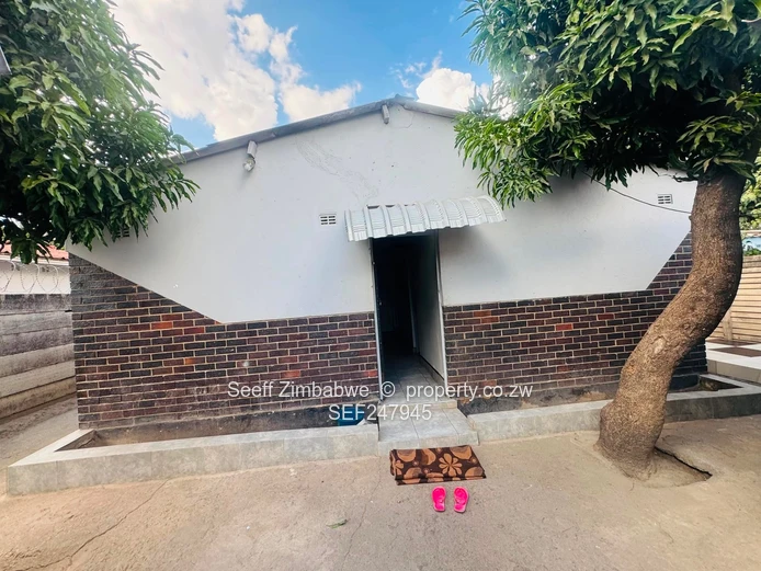 Newly Renovated 4-Bedroom Home in Highfield (Sole Mandate)