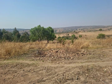Farm & Agricultural Land