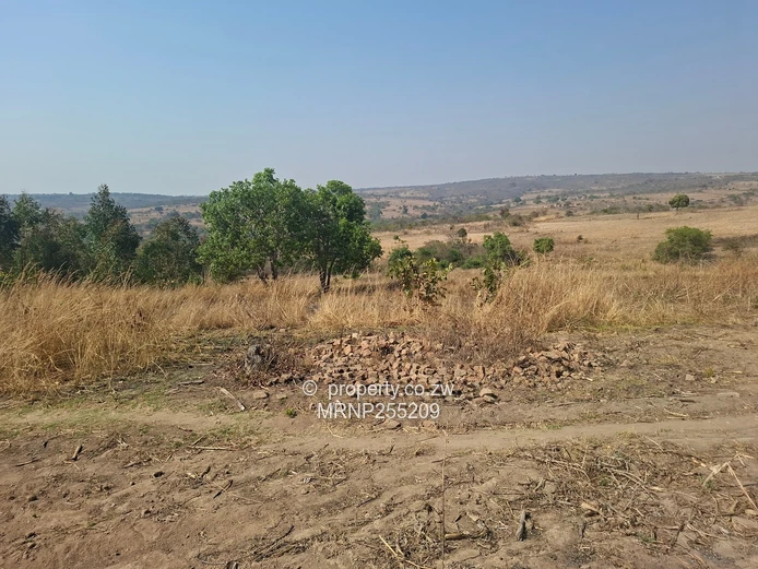Headlands Plot for sale  (Sole Mandate)