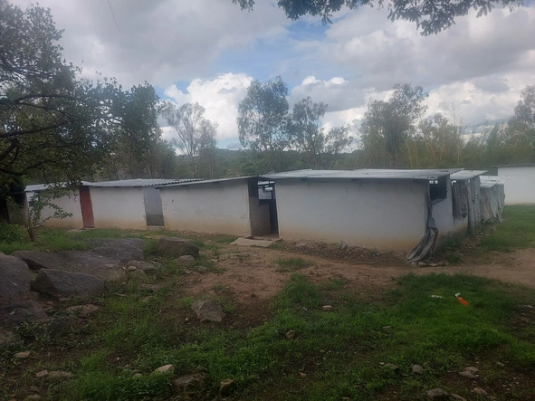 Farm & Agricultural Land