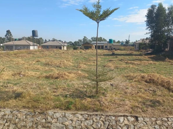 Stands & Residential Land