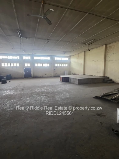 Investment Opportunity 