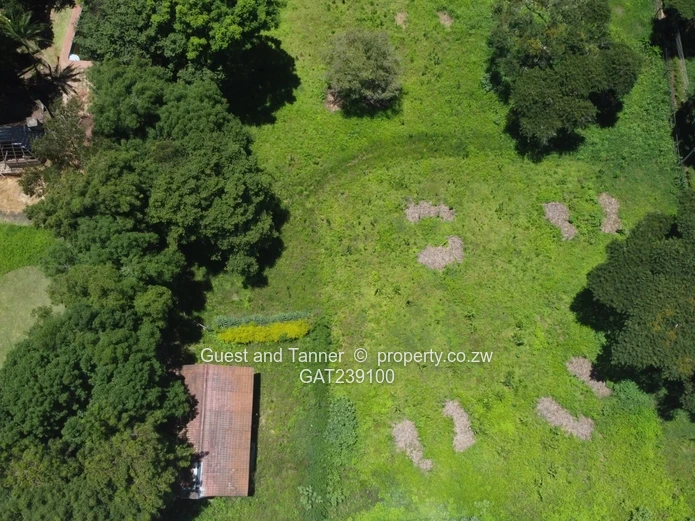 Helensvale Stand – Service Station Opportunity For Sale 