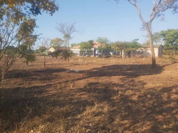 Stands & Residential Land