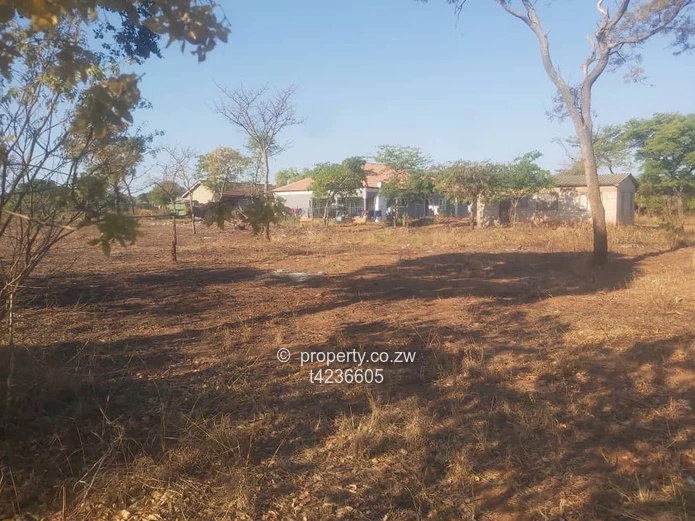 Gweru Hertfordshire stand for sale  (Sole Mandate)