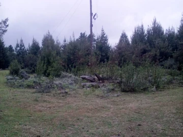 Farm & Agricultural Land