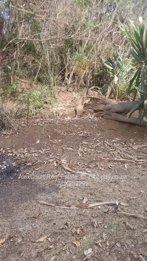 Mt Pleasant Northwood Land for Sale