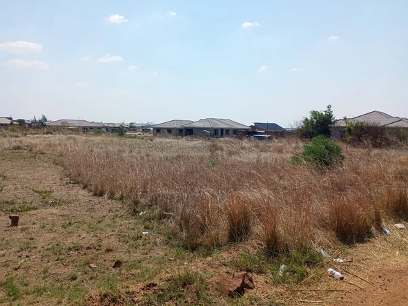 Stands & Residential Land