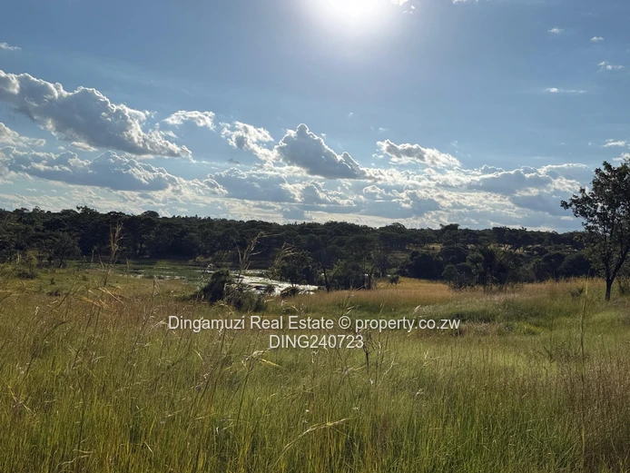 Brixton Farm - Shamva