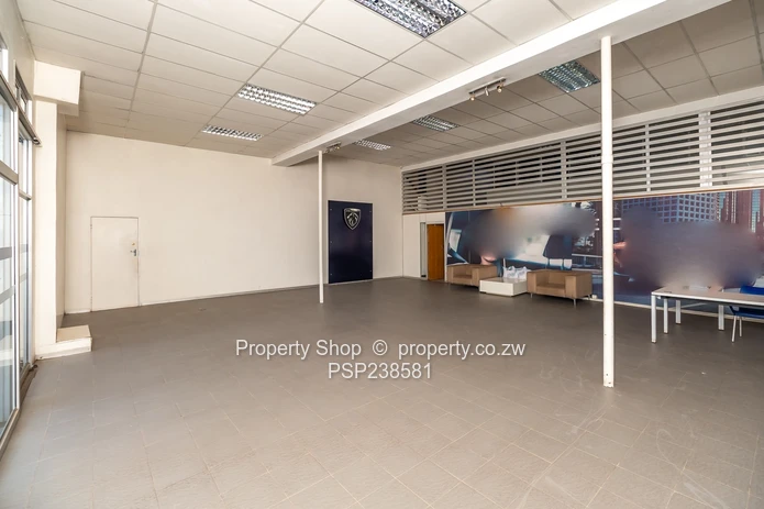 Prime High Visibility Showroom