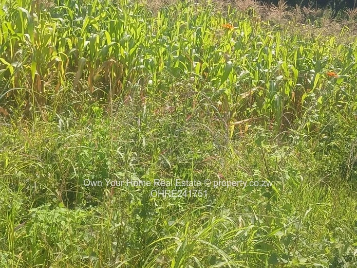 Borrowdale Carrick stands.A choice of 3: