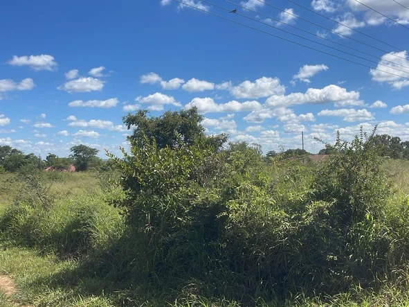 Stands & Residential Land