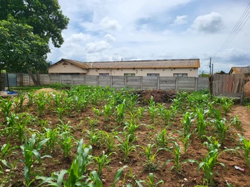 Stands & Residential Land