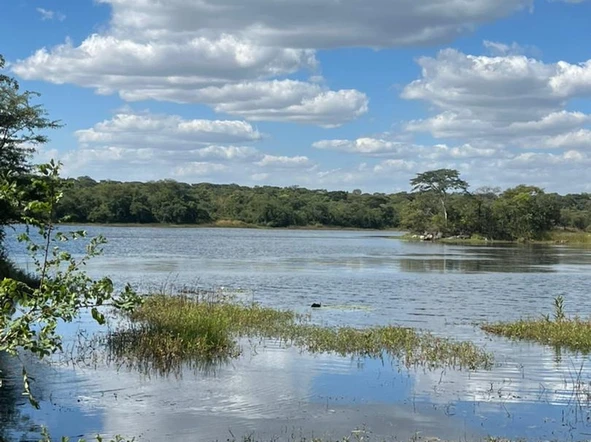 Zowa Farm in Chegutu 89ha Deed For Sale asking Price $160k 