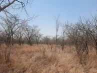 Farm & Agricultural Land