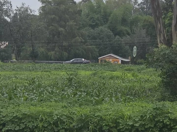 Commercial & Industrial Land