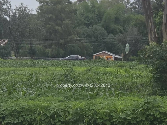 Chisipite Main Road Frontage  (Sole Mandate)