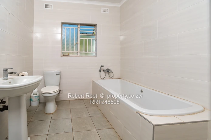 Potential Commercial Property in Great Location