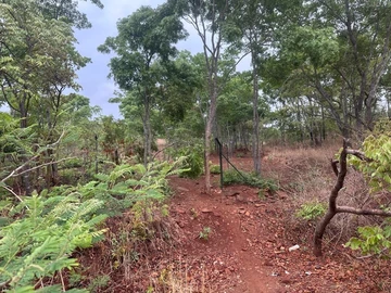 Farm & Agricultural Land