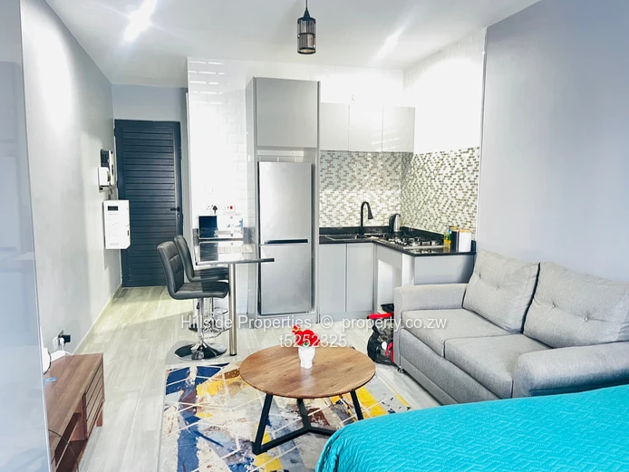 Millennium Heights Studio Apartment  (Sole Mandate)