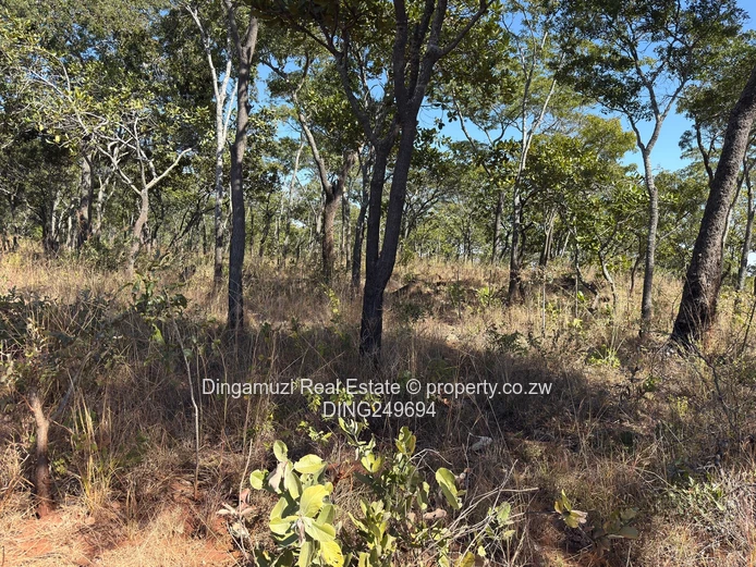 Goromonzi Agricultural 4-Hectare Land