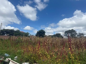 Stands & Residential Land