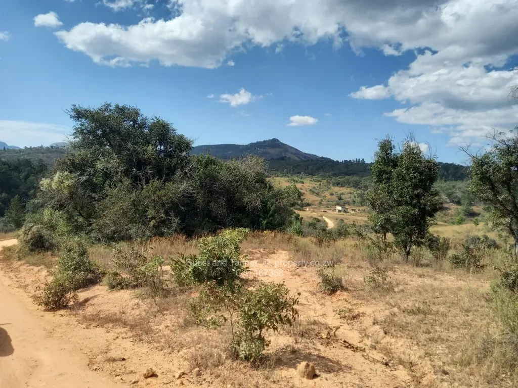 Stands & Residential Land for Sale in Nyanga GAT167358