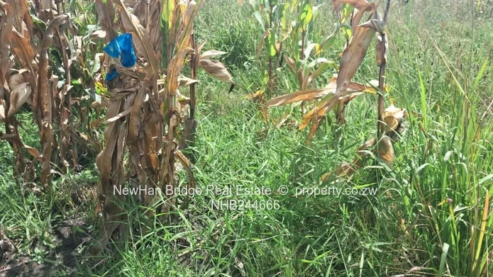 Manresa Residential Stand For Sale