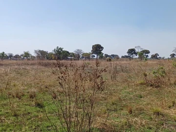 Farm & Agricultural Land